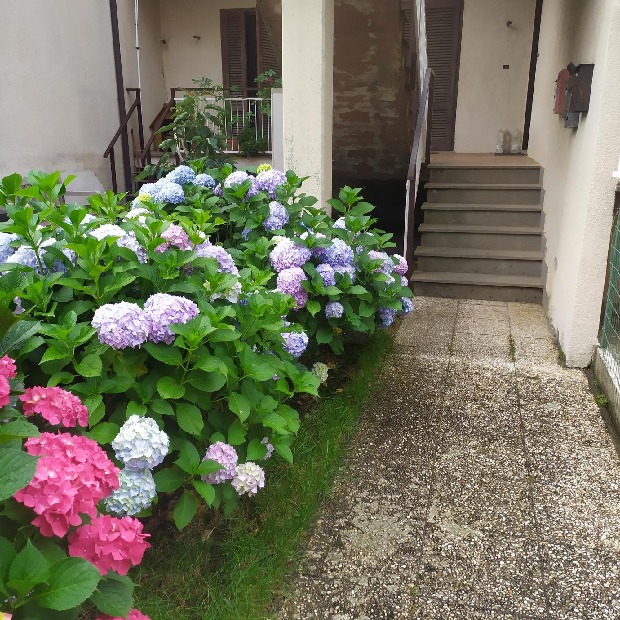 Apartment Santa Maria ボルセーナ エクステリア 写真